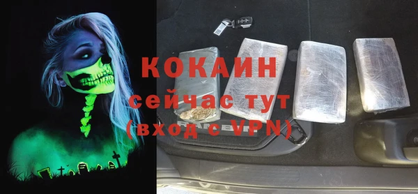 прущие грибы Абаза