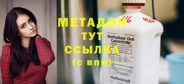 прущие грибы Абаза