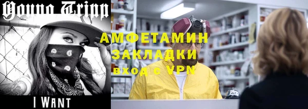 прущие грибы Абаза