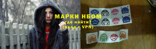 прущие грибы Абаза