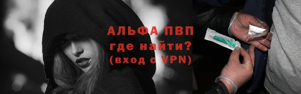 прущие грибы Абаза