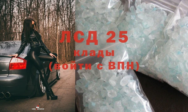 прущие грибы Абаза