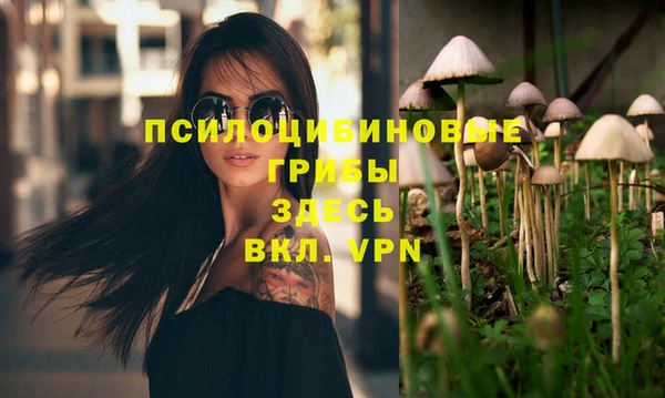 дмт Абдулино