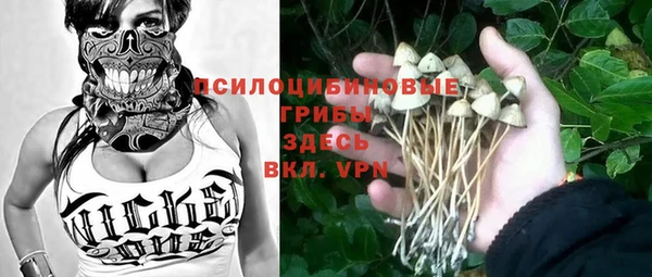 крисы Алексин