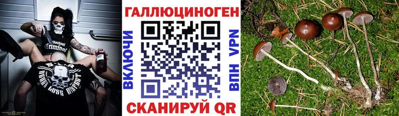 Галлюциногенные грибы Psilocybine cubensis  наркошоп  Красновишерск 